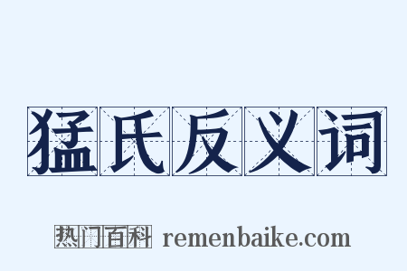 猛氏反义词是什么意思的图片